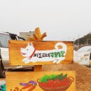 달고요 이미지