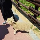 희봉농장 이미지