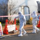 아산농장 이미지