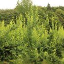 명규농장 이미지