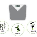 슬림팩 이미지