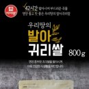 대양식품 이미지