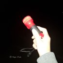 은빛나래펜션 | 태안 드르니항 주꾸미 낚시 포인트, 준비물