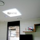 아이비 동물병원 이미지