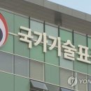 1381 이미지