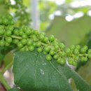 예정농장 이미지