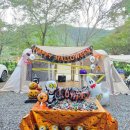 (주)아이들팜 | 경주 트리팜 캠핑장 예약 아이랑 할로윈 캠핑 후기