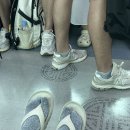 주영양말 이미지