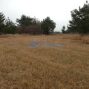 미정목장 이미지