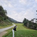 퍼펙트로스트볼 - 화성시 동탄장지천1길 11 | 퍼펙트 로스트볼 (용인 상현점) 구매후기