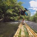 뉴파라다이스 이미지