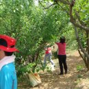 석부농장 이미지