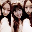 빅쇼 Daum카페