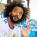 유로이비시 이미지