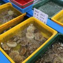 비취원펜션 이미지