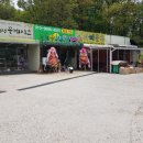 새마을청과