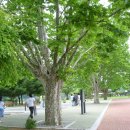 효자정재수기념관(야외) 이미지