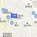 월곡순정형외과의원 티스토리