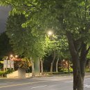 더그린 행정사 사무소 이미지