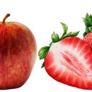 코리아엔제이 이미지