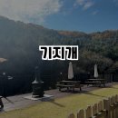 기지개 | 경기 남양주 애견 카페 기지개 방문 후기