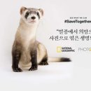 내셔널지오그래픽 이미지