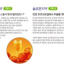 중화솔로몬 이미지