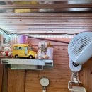 형제농장 | 울산 울주군 애견 운동장 삼형제농장 방문 후기