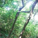 외연도3 이미지