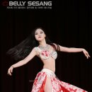 라비아벨리댄스협회 이미지