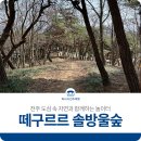 자연과함께 이미지