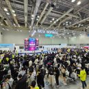 뉴소프트 이미지