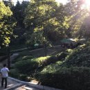 예당관광지 B-야영장 이미지