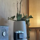 모도 | 진도 카페 모도상회 내돈내산 후기