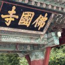 불국로(남) 이미지