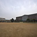 인천신흥초등학교 이미지