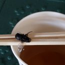 가림 마을회관 이미지