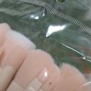 테무 여성속옷 티셔츠원피스 화장품브러쉬 페이즐리탑 구매후기