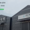 선단초등학교 이미지