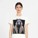 도그인 그레이 이미지