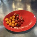 남포지하도상가 | 부산 남포동 포차거리 39번 내돈내산 후기ㅣ꼼장어구이 꼬막구이 찐맛집 인정