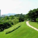 물들어간다는 것은 이미지