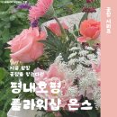 플라워샵온스 | 남양주 평내 호평 꽃집 플라워샵 온스