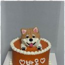 특별한 동물가게 이미지