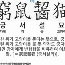 ■궁서설묘(窮鼠齧猫): 궁지에 몰린 쥐가 고양이를 문다 이미지