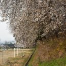 감곡초등학교병설유치원 이미지