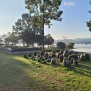 호수길걷기명상 이미지