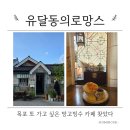 망고필름 - 8095 | 목포 카페 유달동의 로망스 망고빙수 내돈내산 후기