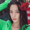 클라라 카카오 검색결과