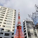 큰고개공원 이미지